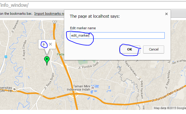 edit marker popup google map v3