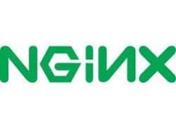 nginx logo