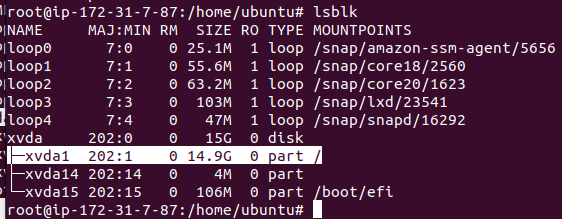 list block device, memperbesar ukuran storage EC2